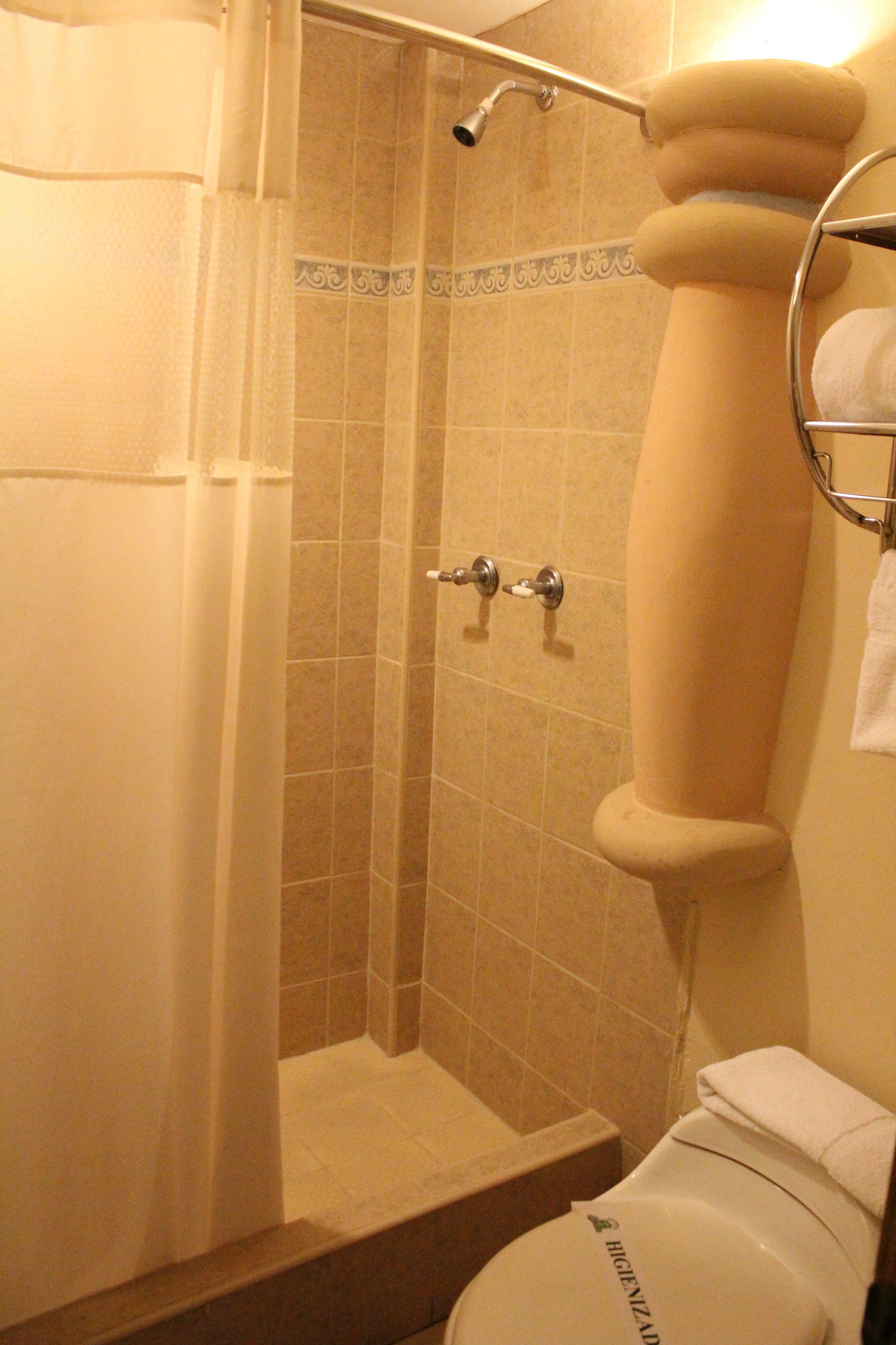A bathroom with a shower, toilet, and towel rack.