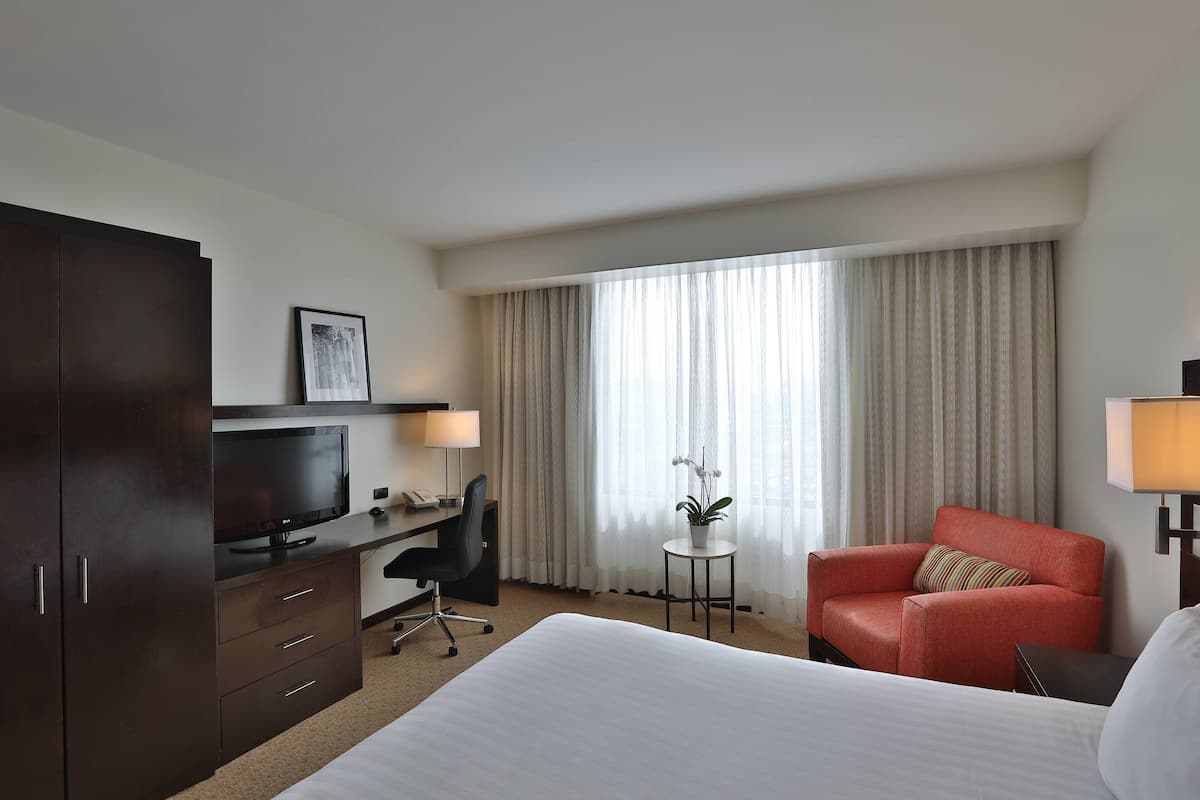 Standard Room, 1 King Bed, City View