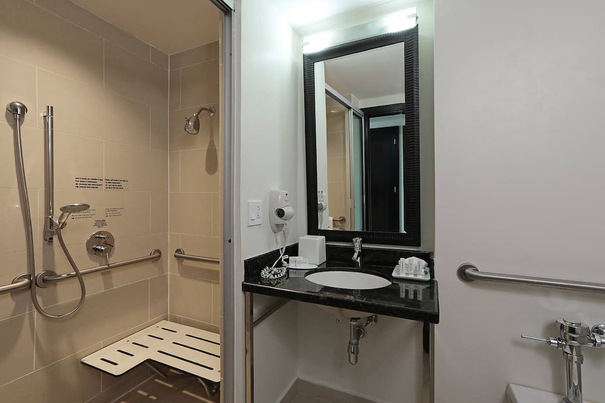 standard room, 1 king bed, city view | bathroom | combined shower/bathtub, free toiletries, hair dryer, towels