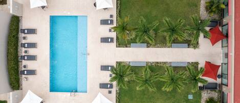 An aerial view of a pool area with a rectangular pool, multiple lounge chairs, umbrellas, and palm trees.