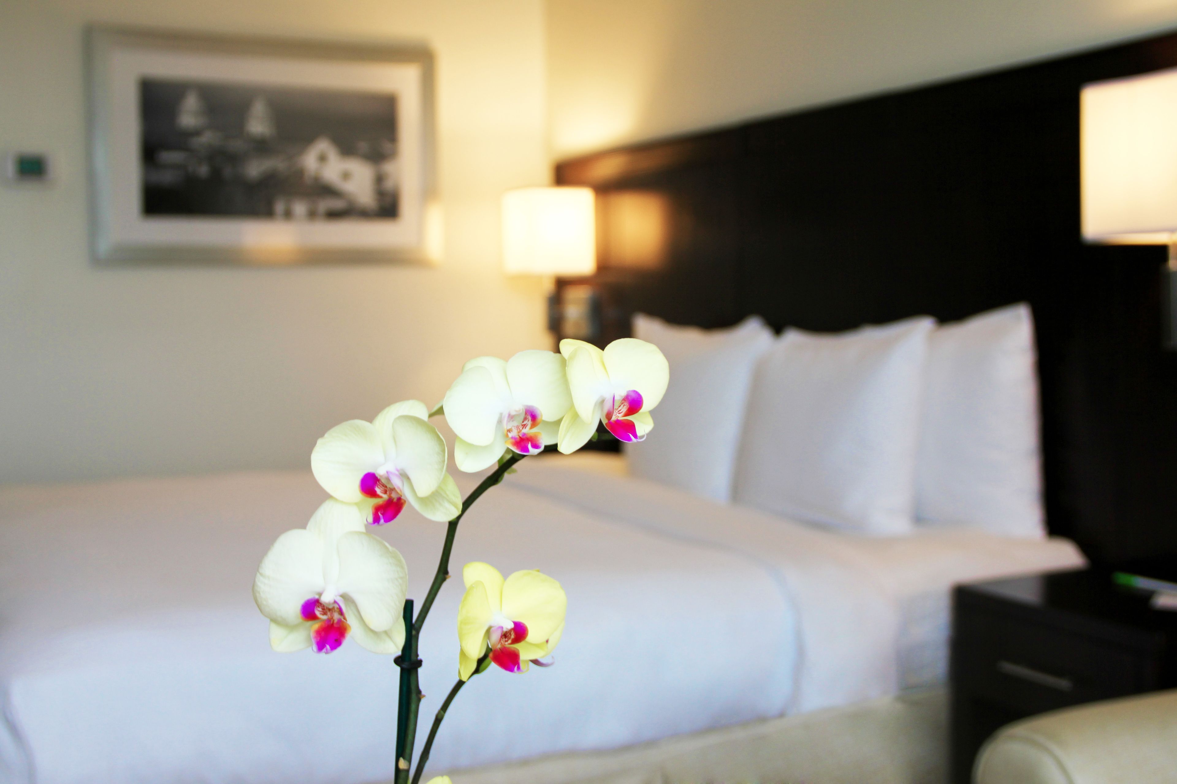 standard room, 1 king bed, city view | minibar, in-room safe, desk, laptop workspace