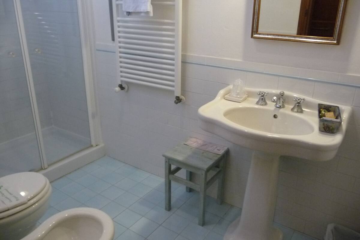 shower, free toiletries, hair dryer, bidet