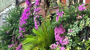 A building with a sign that reads "Boutique Hotel" and a lush garden with purple flowers and green foliage. - Ahmet Efendi Evi (Istanbul)