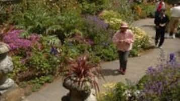 A garden pathway with various plants and a statue.