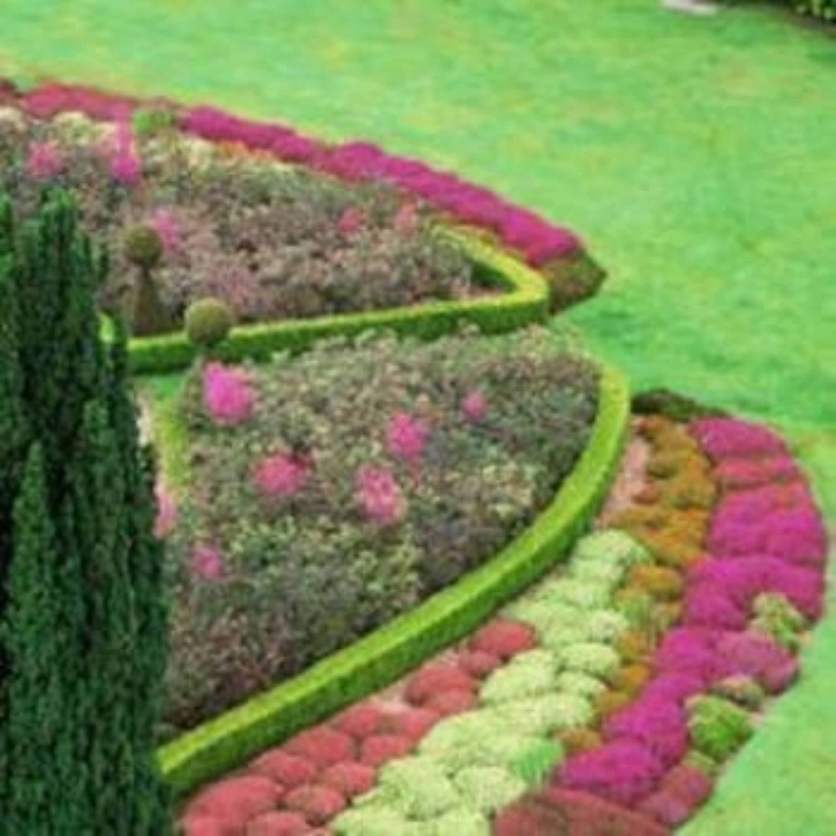 A landscaped garden with a circular design, featuring various plants and shrubs.