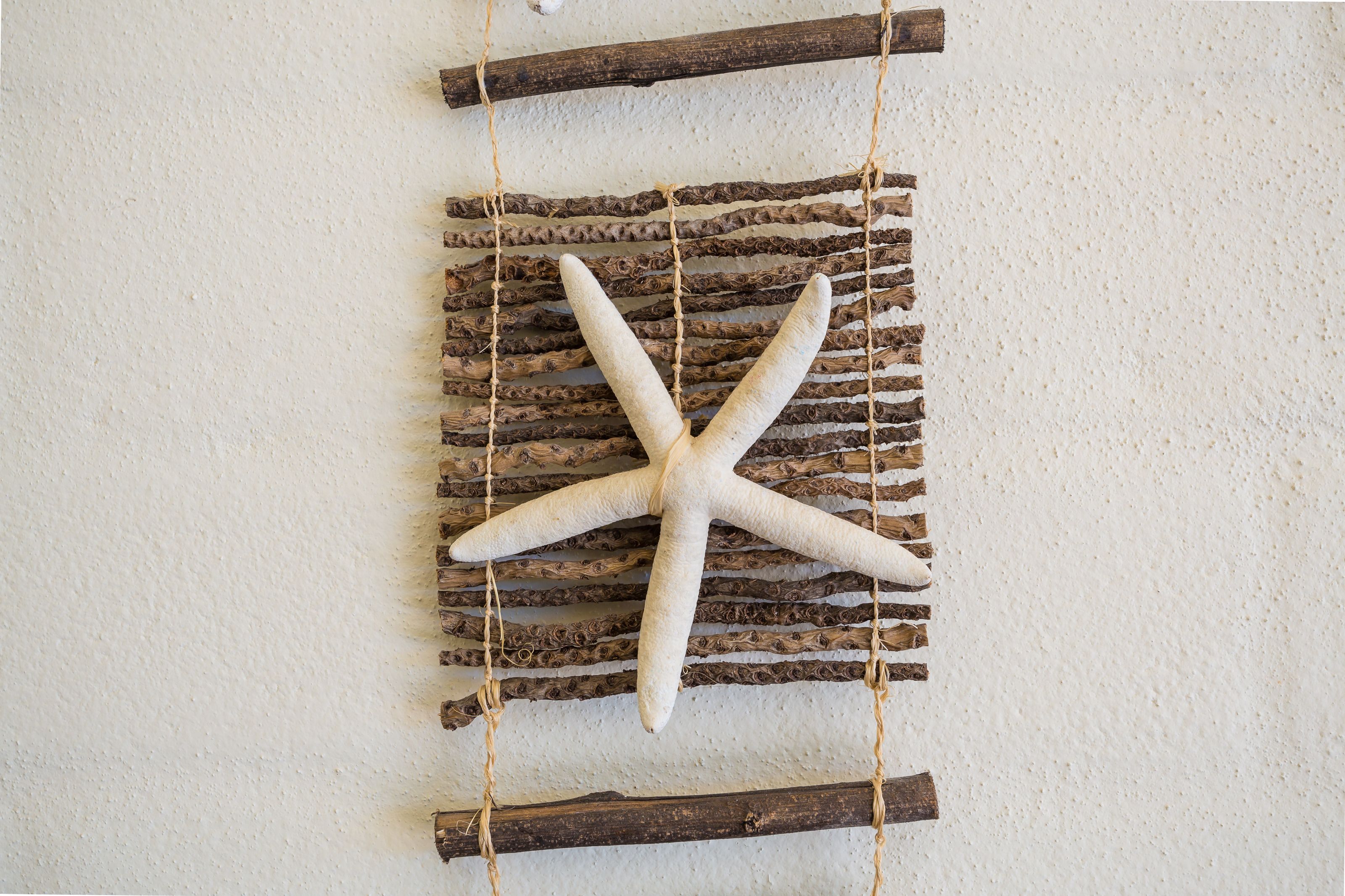 A starfish on a wooden plank against a textured wall.