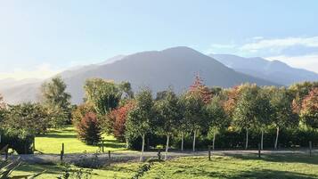 Un campo cubierto de hierba, con árboles y una montaña al fondo.