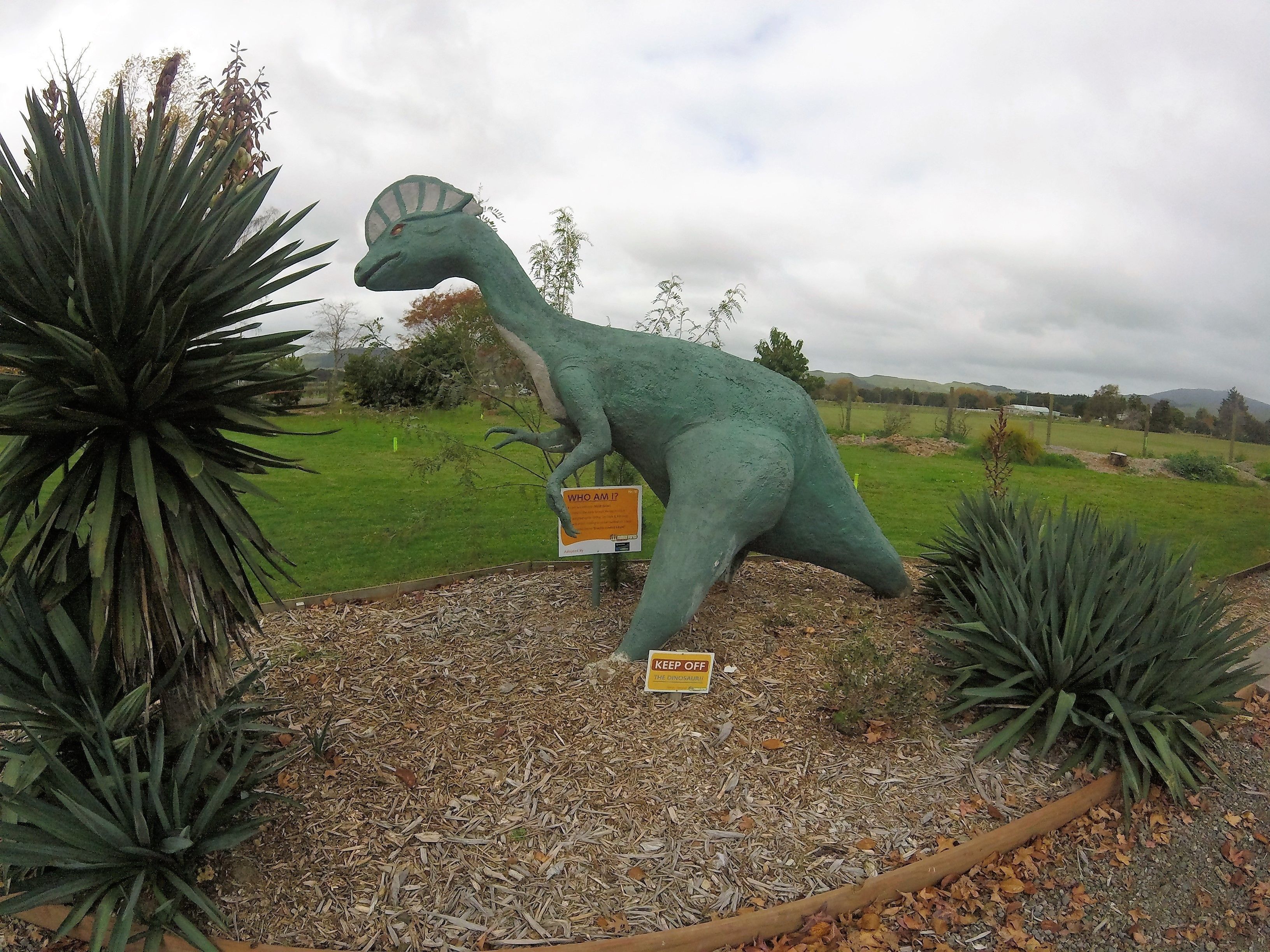 A dinosaur statue with a sign that reads "WHO AM I?" in a landscaped area with plants and a grassy field in the background.