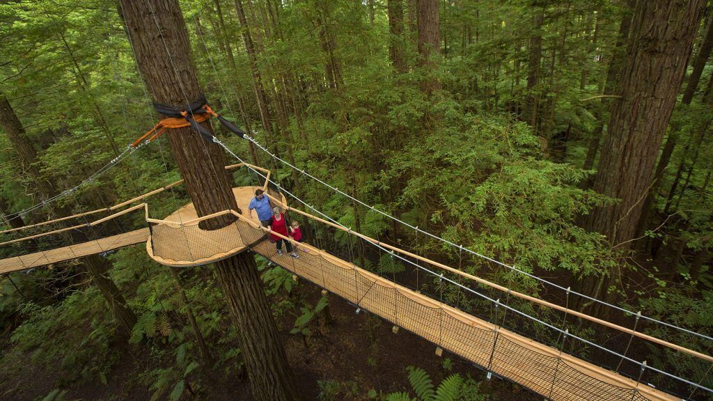 Eine Hängebrücke in einem Wald, Menschen gehen darauf.