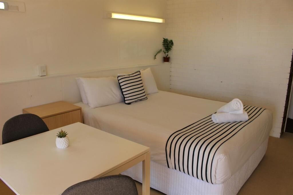 Habitación de hotel con una cama individual, una mesita de noche, una silla, una pequeña mesa con una planta y una lámpara fijada a la pared.