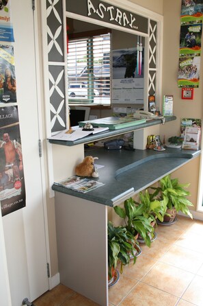 A reception desk with a computer, a telephone, and a small stuffed animal. There are potted plants and a calendar on the wall. - Astray Motel (Rotorua)