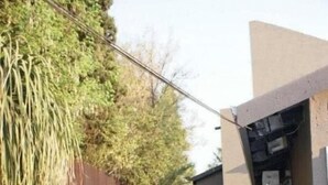 Un patio trasero residencial con un sendero pavimentado, un pequeño césped y diversas plantas y árboles.