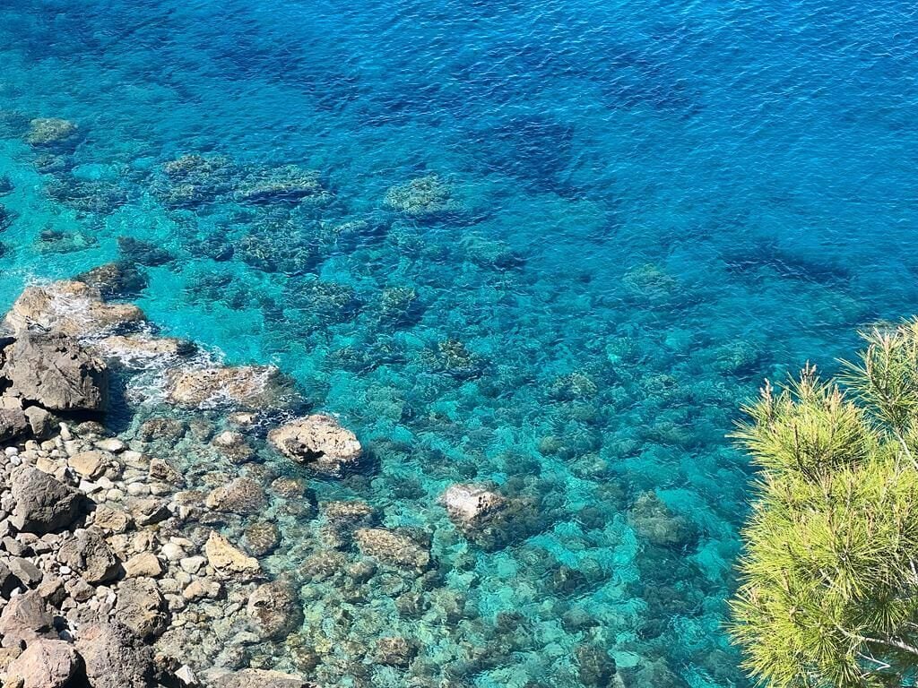 Photo - Can Busquets