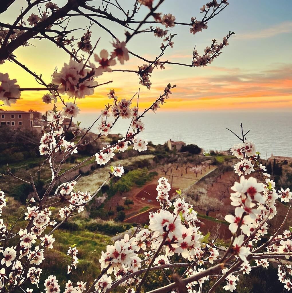 Photo - Can Busquets