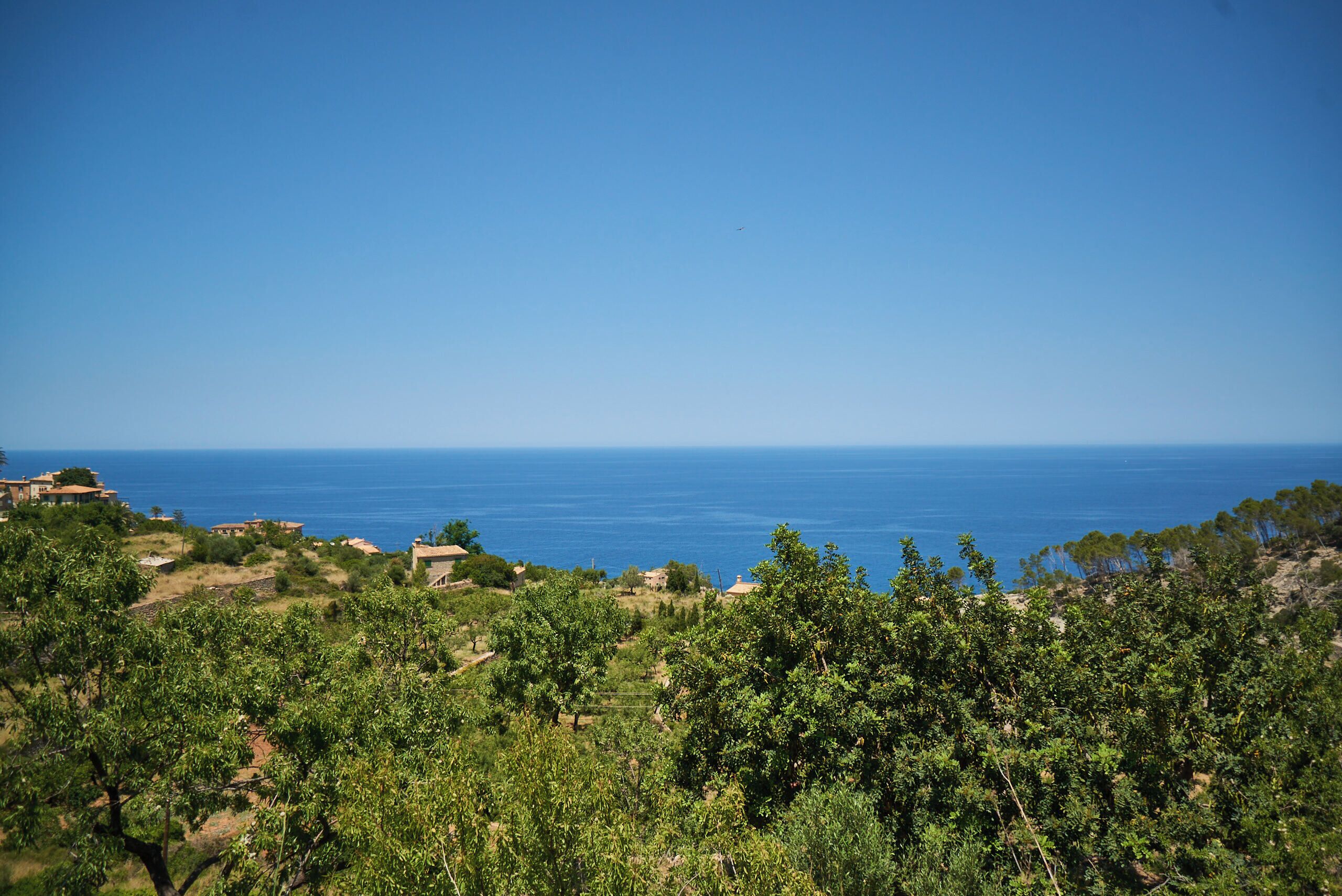 Ulkopuoli