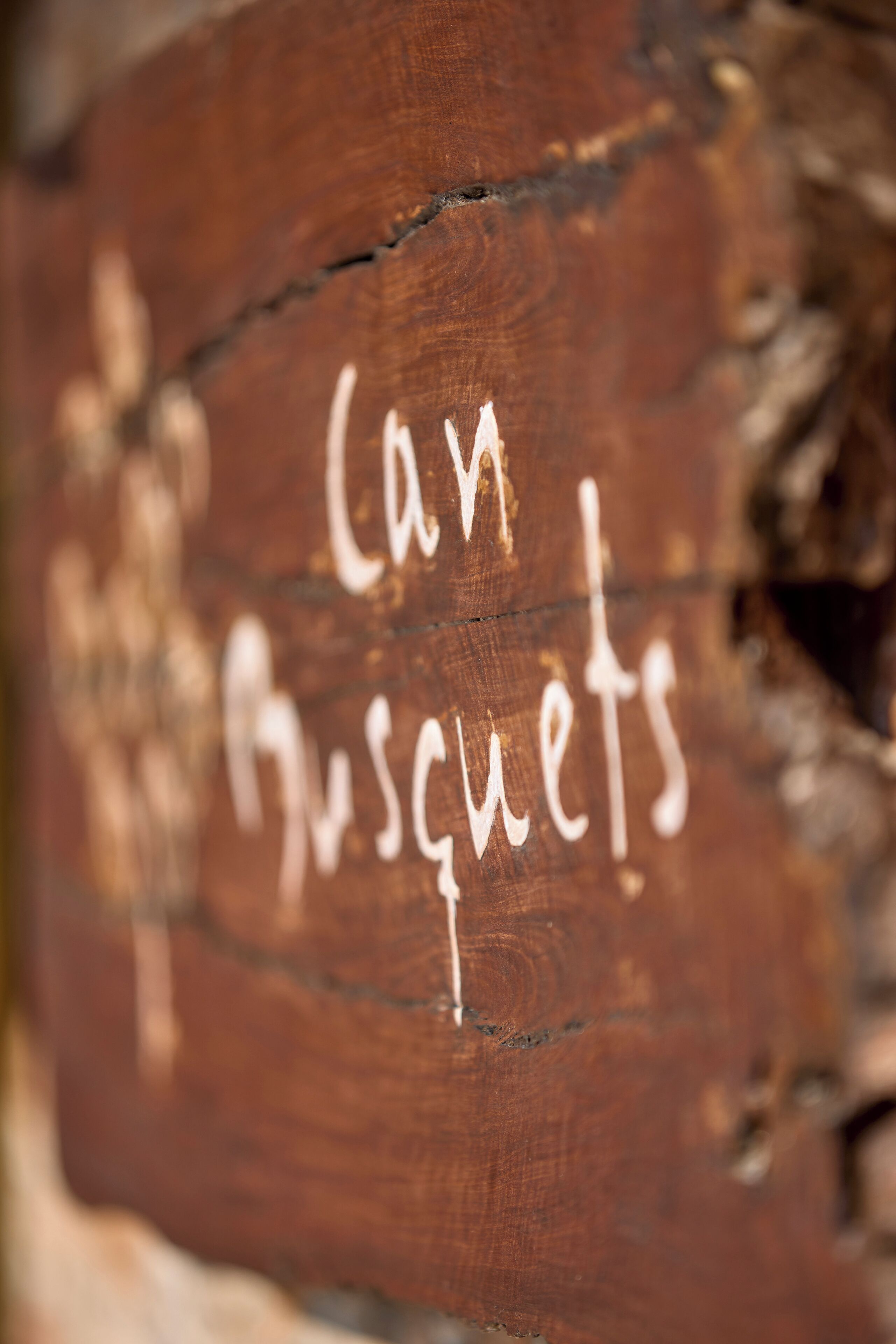 Photo - Can Busquets