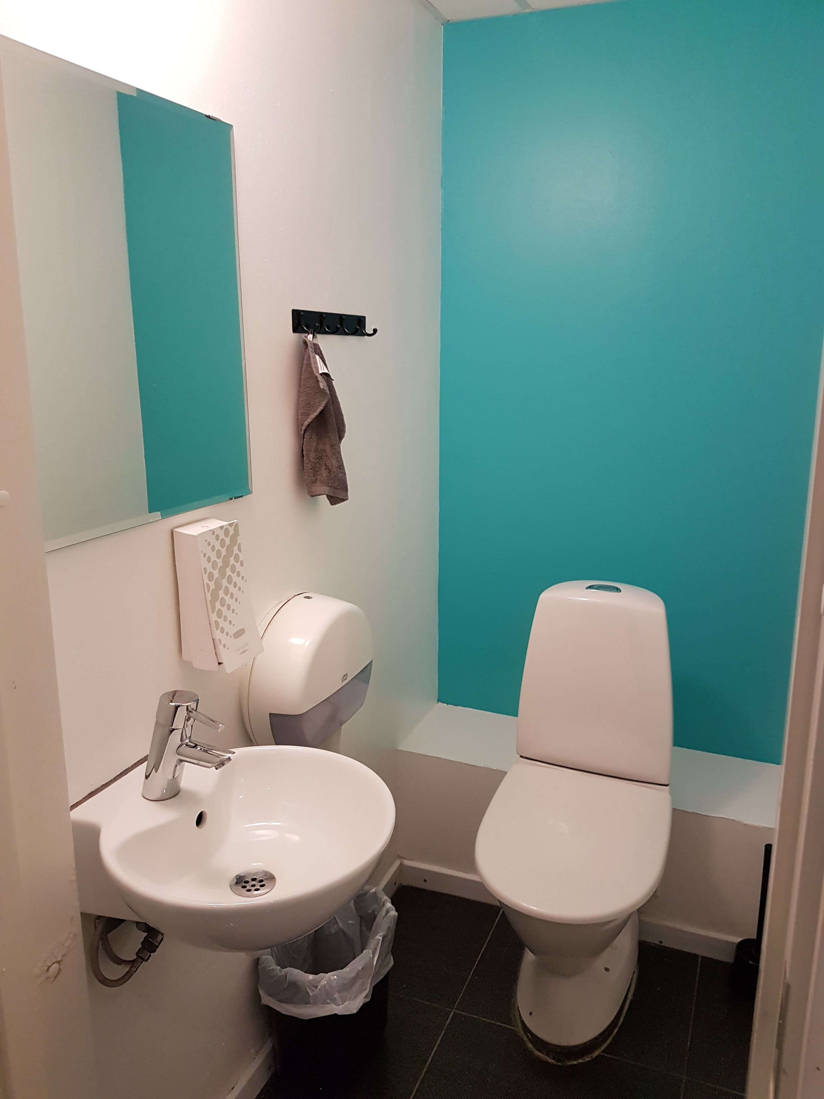 Ein Badezimmer mit weißem Waschbecken, einem Spiegel, einer Toilette und einem Mülleimer.