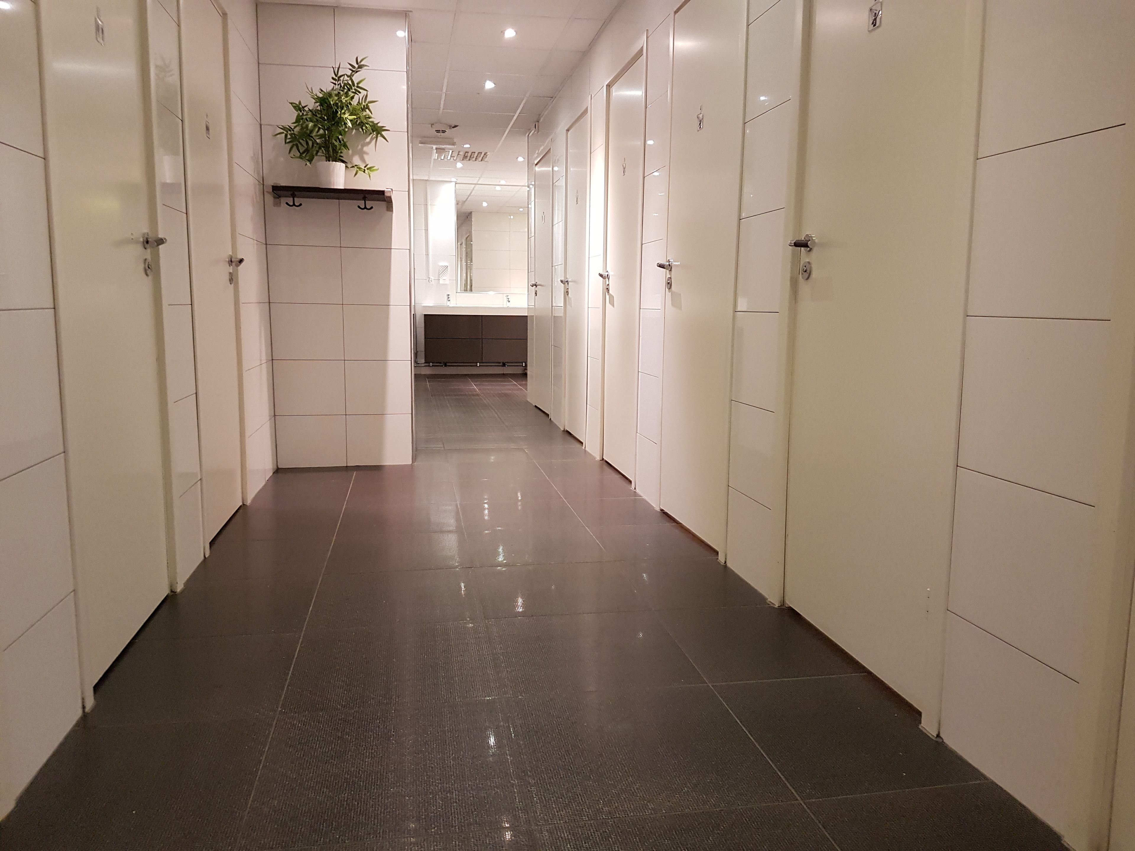 Un couloir propre et moderne, avec des casiers blancs et une plante en pot.
