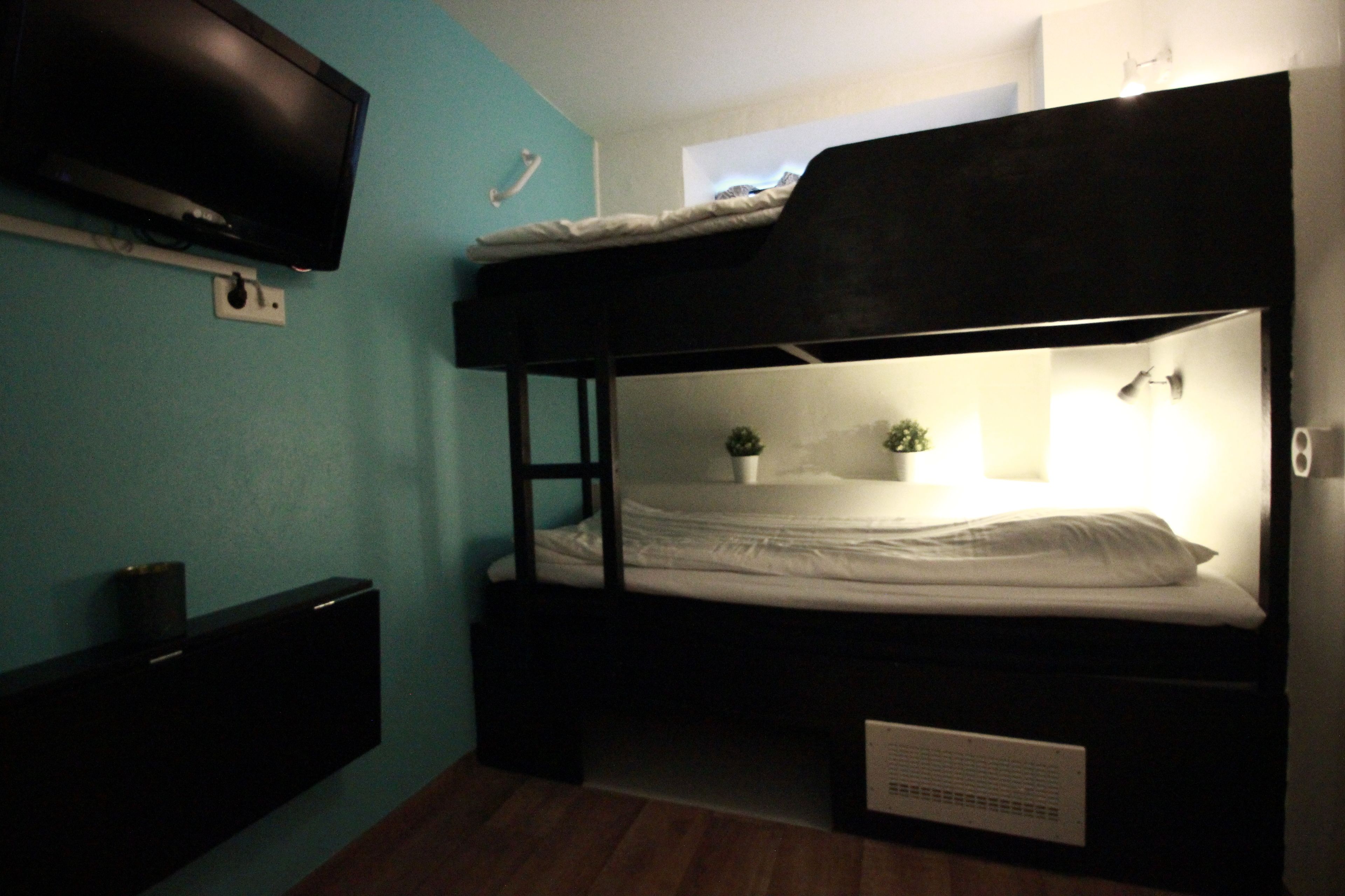 Une chambre avec un lit superposé, un téléviseur fixé au mur, une petite plante et une fenêtre.