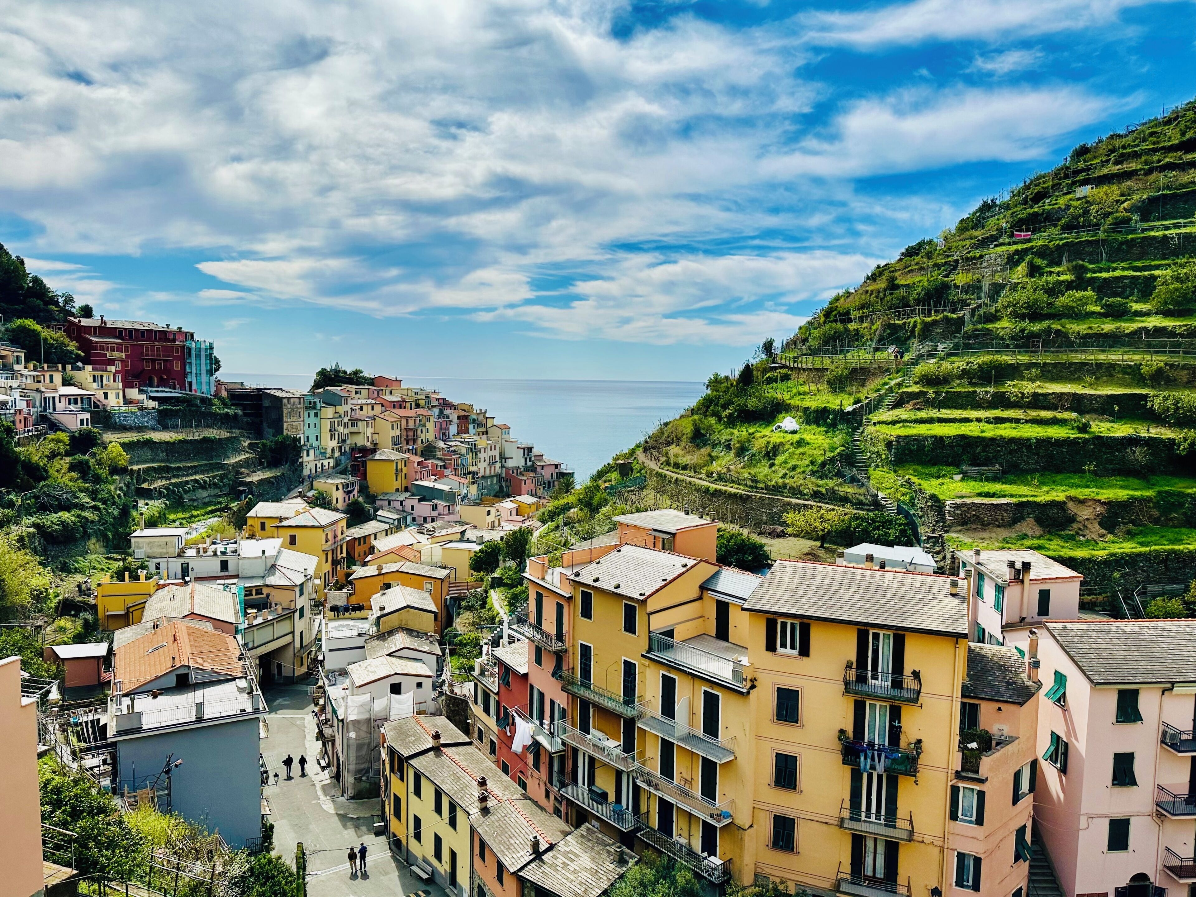 Studio panoramique, 1 chambre, balcon, vue sur la mer | Terrasse/patio
