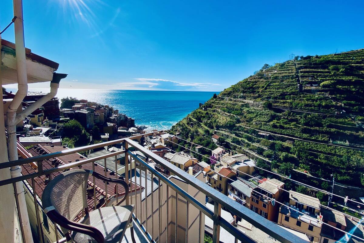 A balcony with a view of a coastal town, terraced vineyards, and the sea.
