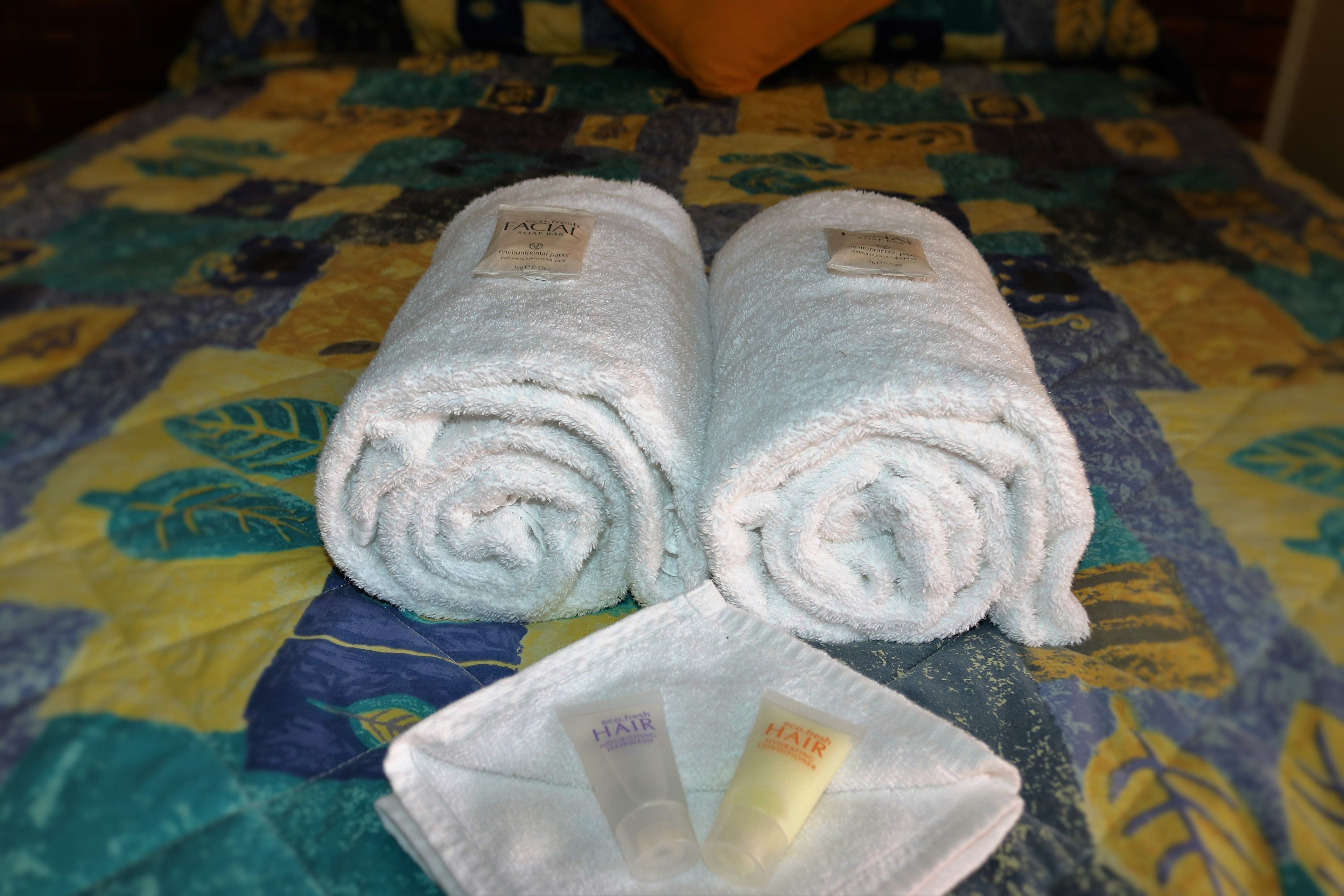 Buồng tắm vòi sen, đồ dùng nhà tắm miễn phí, máy sấy tóc, khăn tắm 