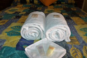 Regadera, amenidades de baño gratuitas, secadora de cabello, toallas