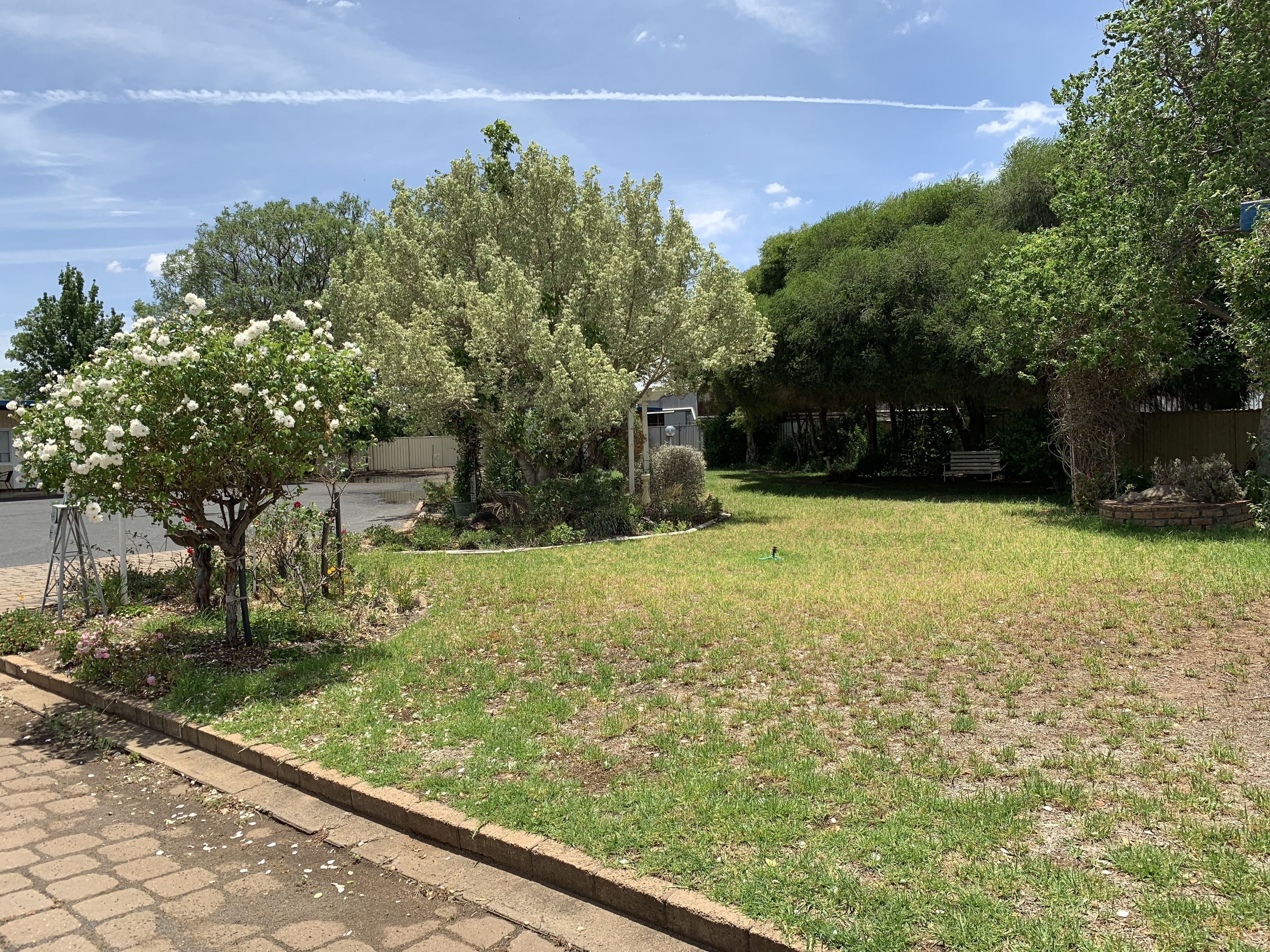 A grassy yard with trees and a small shed.