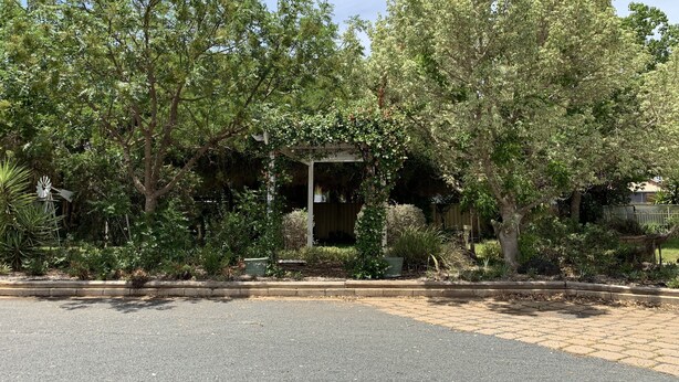 A garden with a gazebo, trees, and a paved area. - Orana Windmill Motel (Gilgandra)