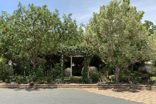 Garden view
