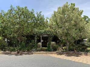 A garden with a gazebo, trees, and a paved area. - Orana Windmill Motel (Gilgandra)