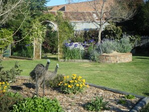 Garden - Orana Windmill Motel (Gilgandra)