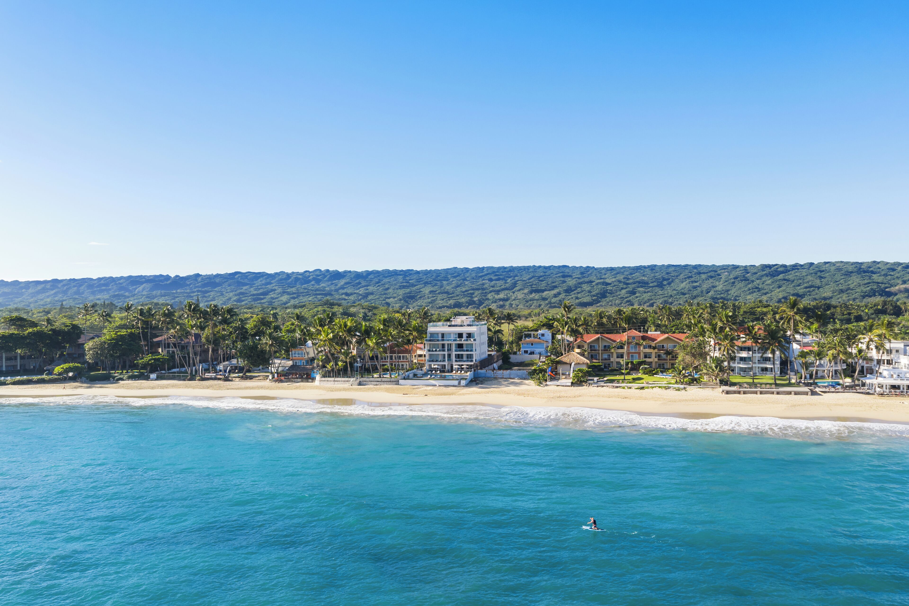 A coastal hotel with beachfront views, palm trees, and a clear blue sky.