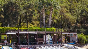 Una zona de playa con una hilera de barcos y una estructura de madera con techo.