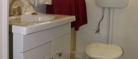 A bathroom with a toilet, sink, and mirror.