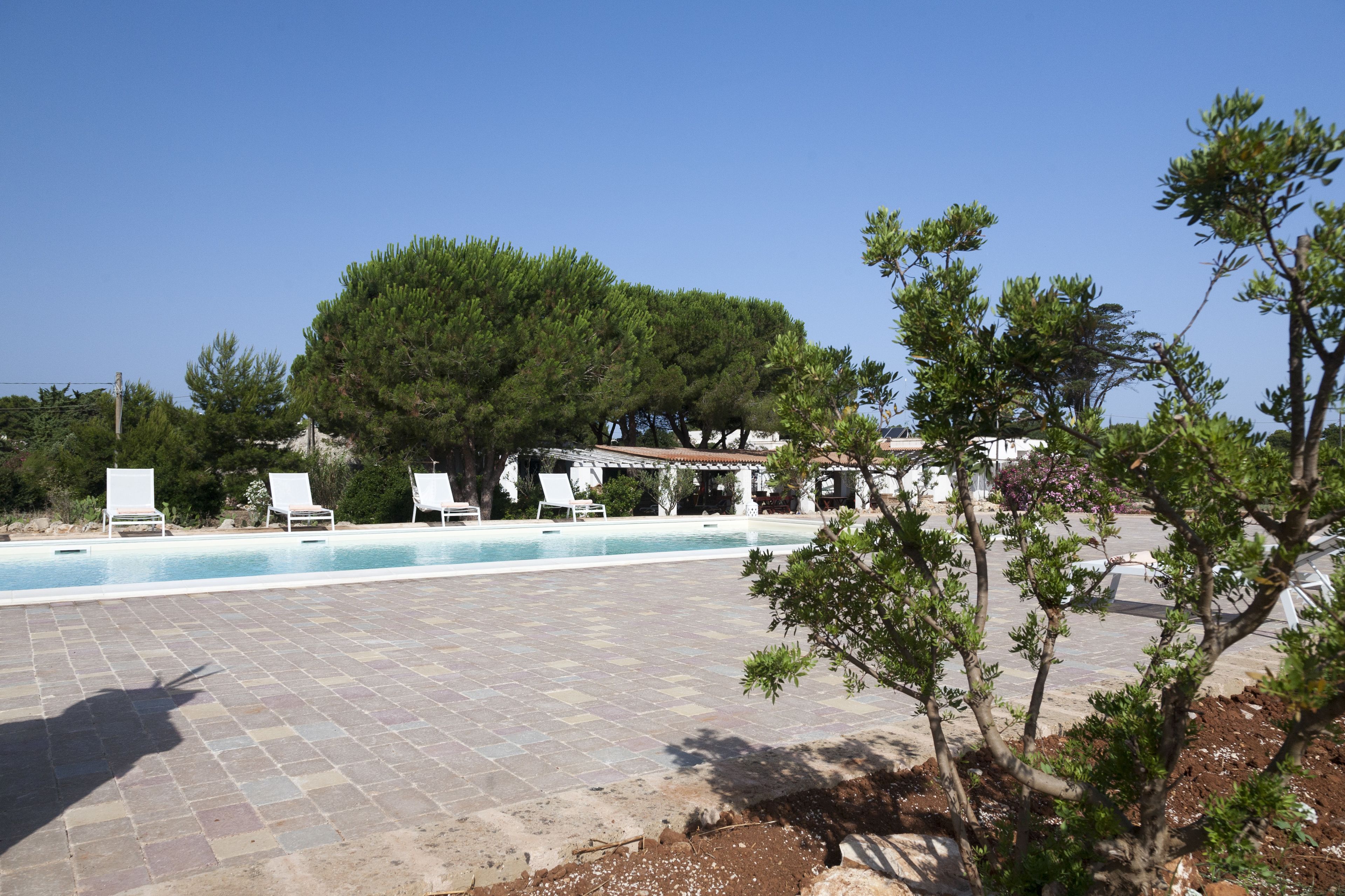 A swimming pool with lounge chairs, surrounded by trees and a building with a tiled roof.