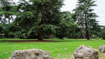 Un campo cubierto de hierba con rocas grandes y un árbol de hoja perenne.