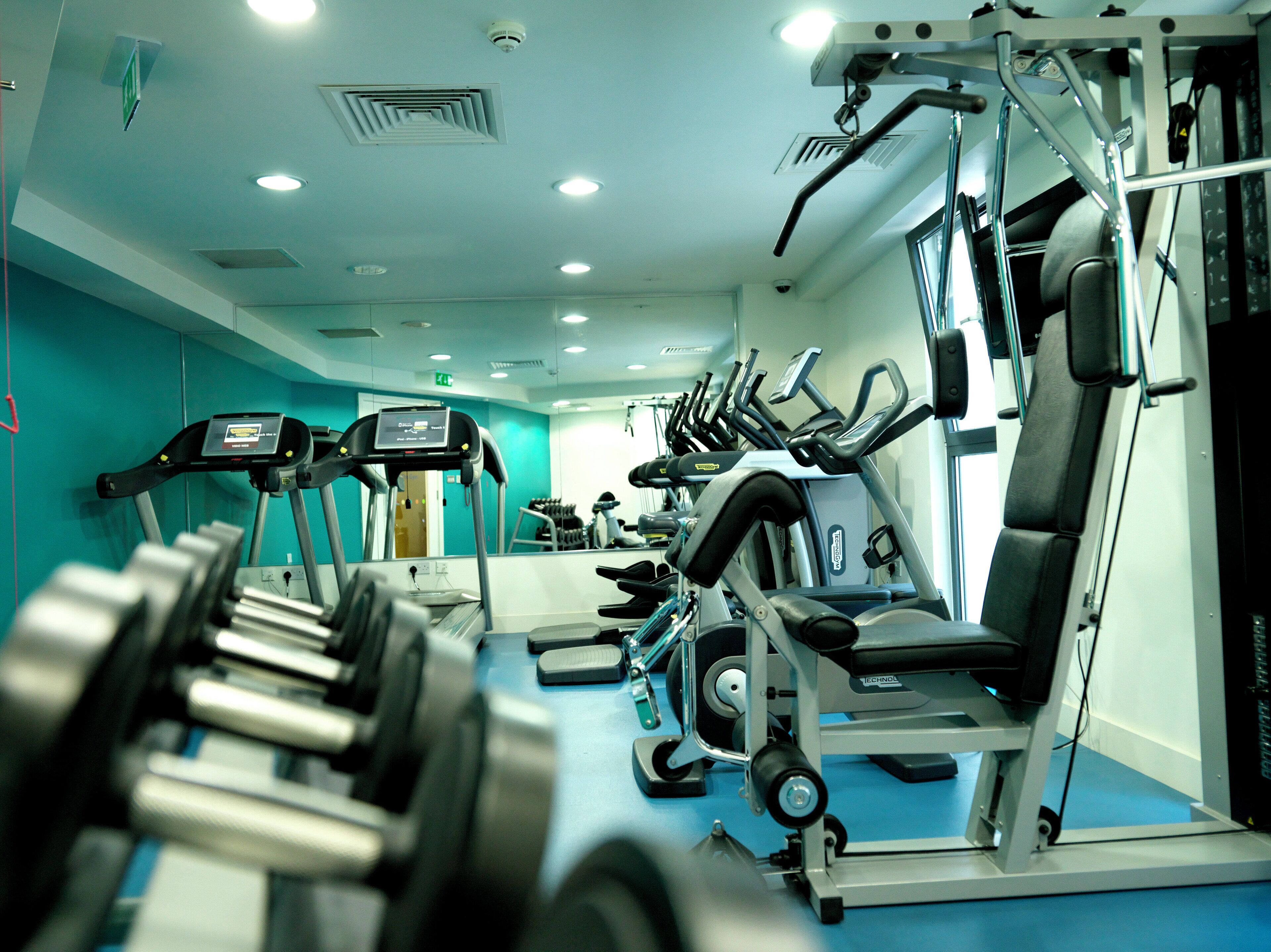 A gym with treadmills, dumbbells, and weight machines.