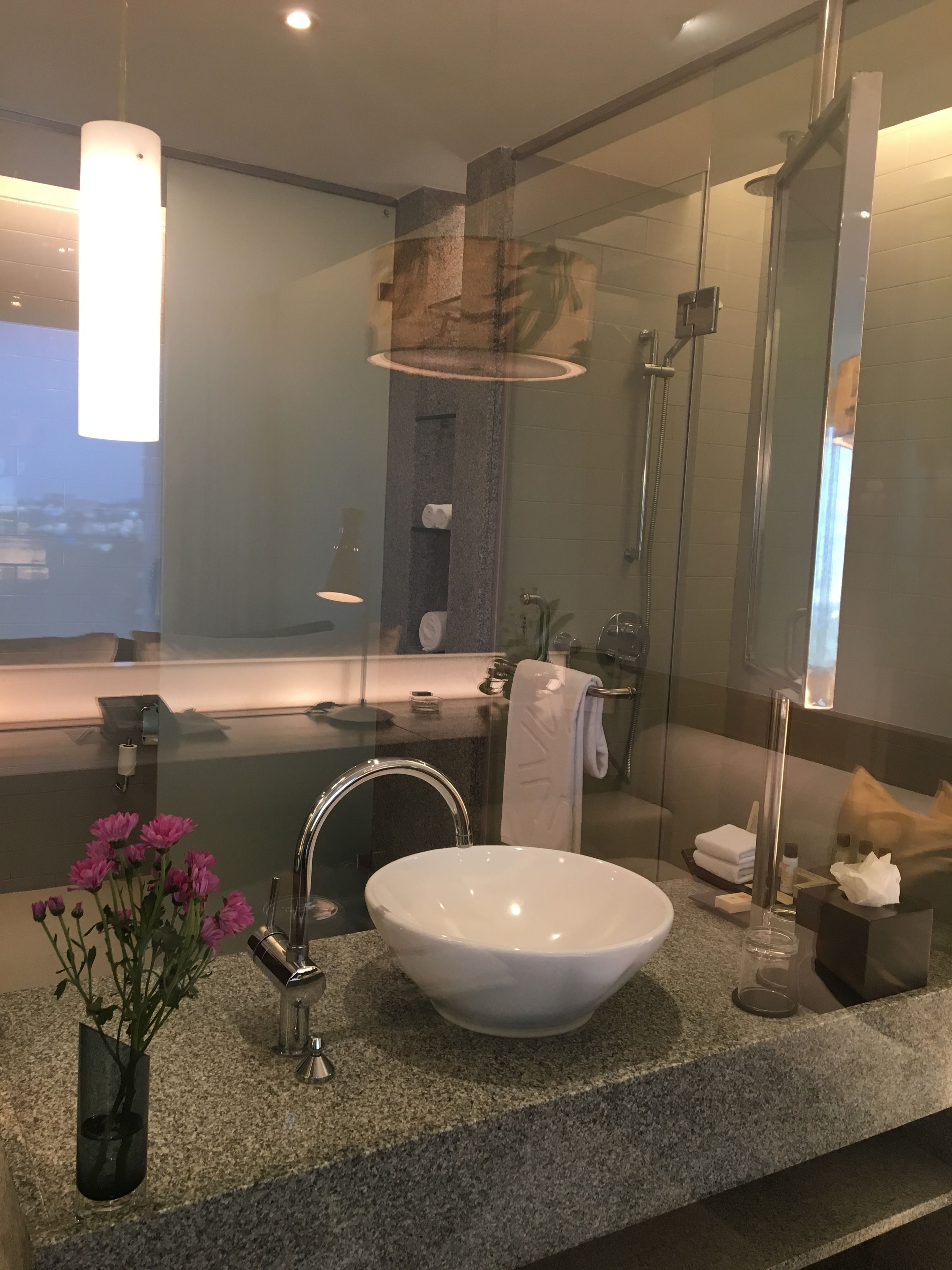 premium room, 1 king bed, city view | bathroom | rainfall showerhead, designer toiletries, hair dryer, bathrobes