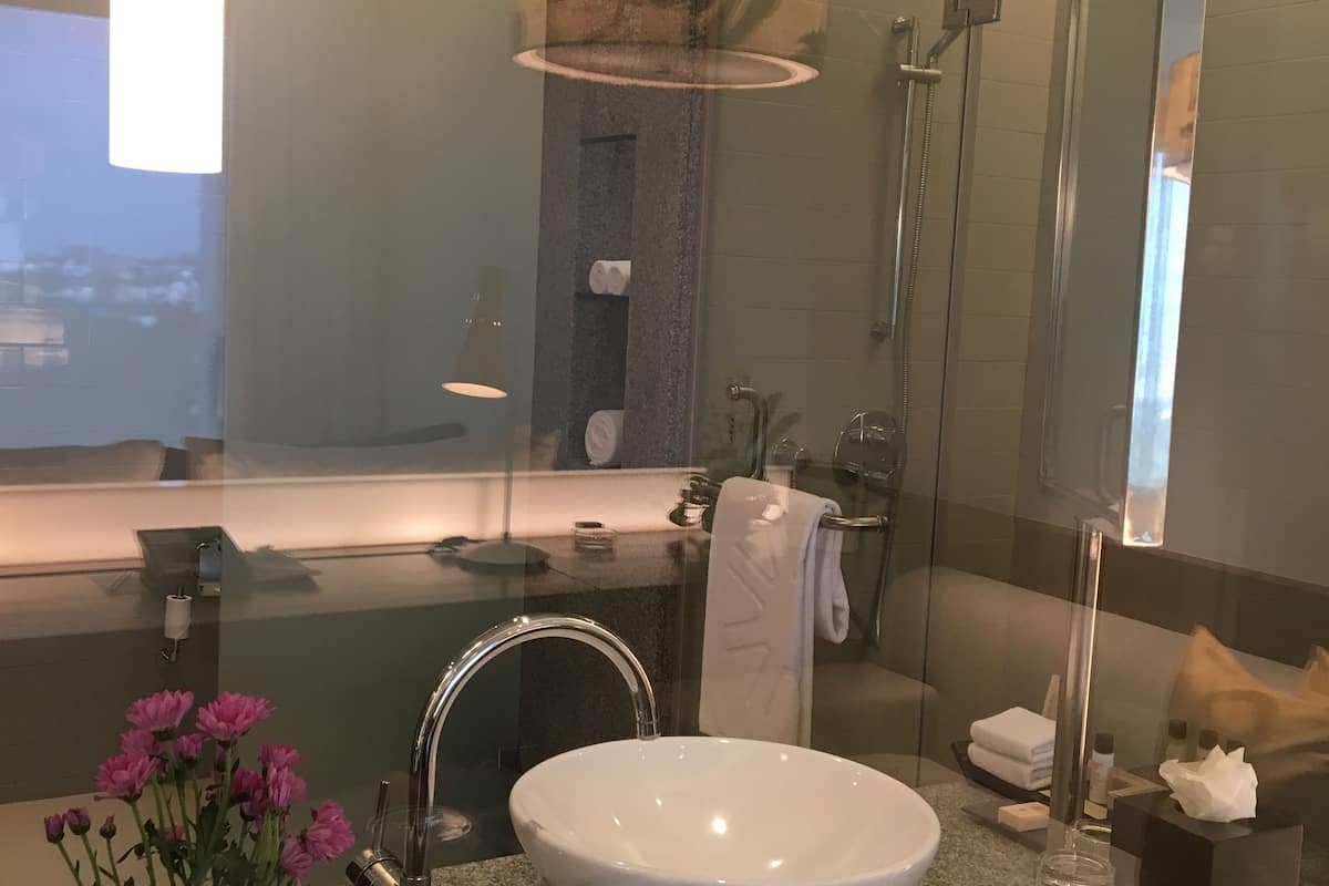 premium room, 1 king bed, city view | bathroom | rainfall showerhead, designer toiletries, hair dryer, bathrobes