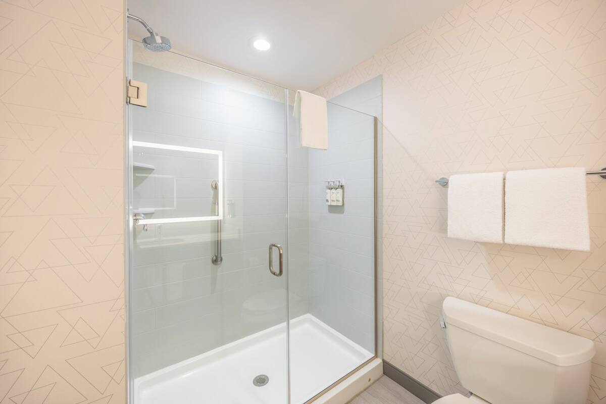 A modern bathroom with a glass-enclosed shower, a toilet, and a towel rack.