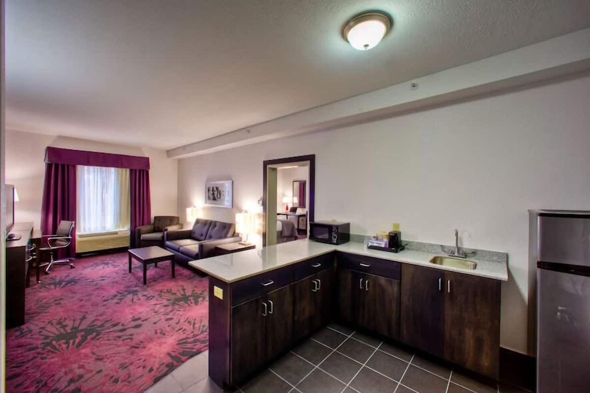 suite, 1 bedroom | pillow-top beds, desk, laptop workspace, blackout curtains