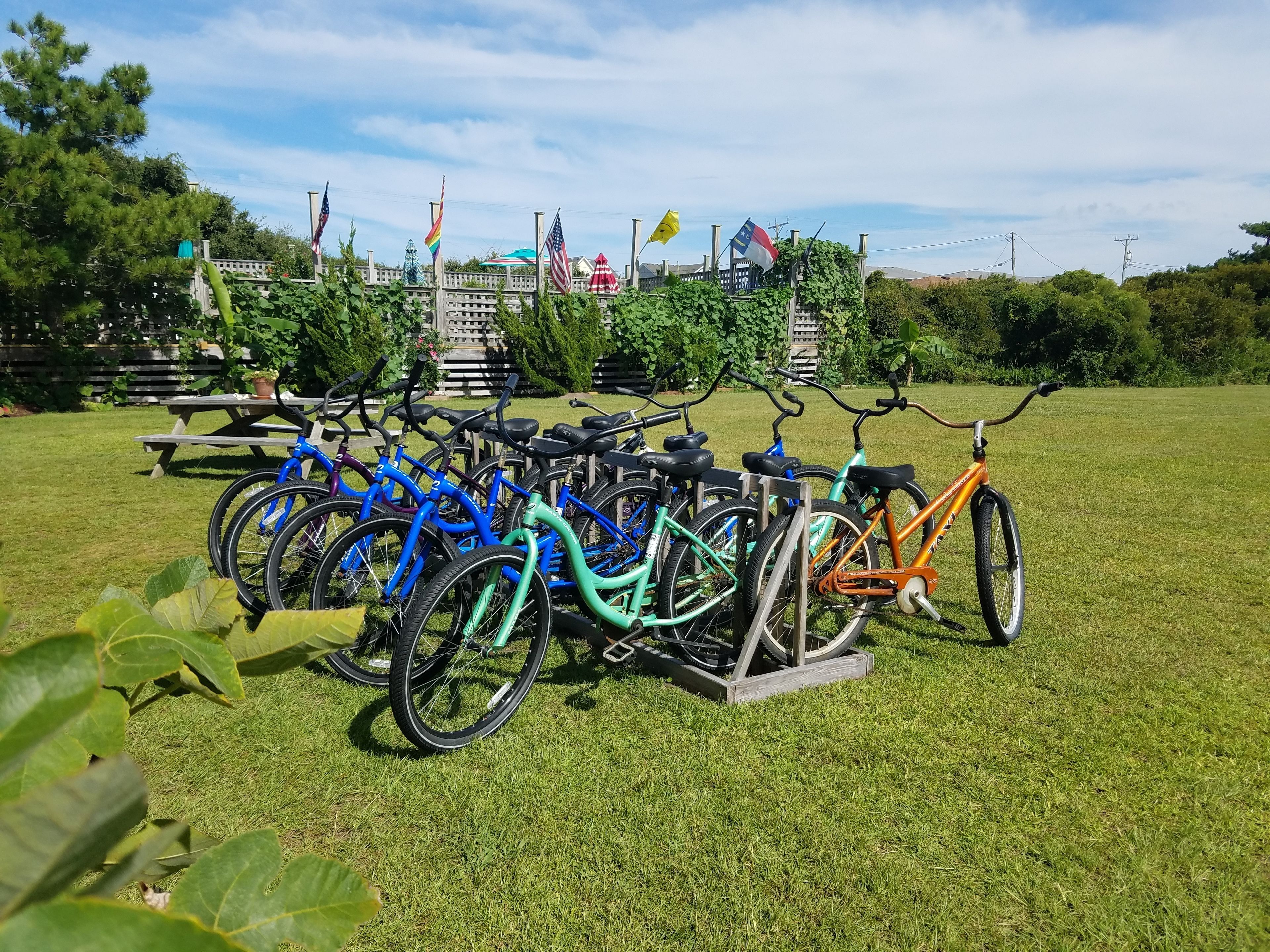 A row of bicycles parked on a grassy field with picnic tables and flags in the background.