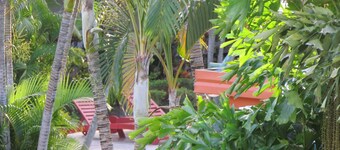 Wailoaloa Beach Resort Fiji