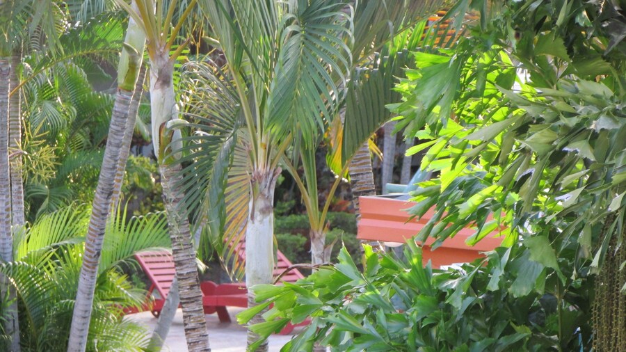 Wailoaloa Beach Resort Fiji