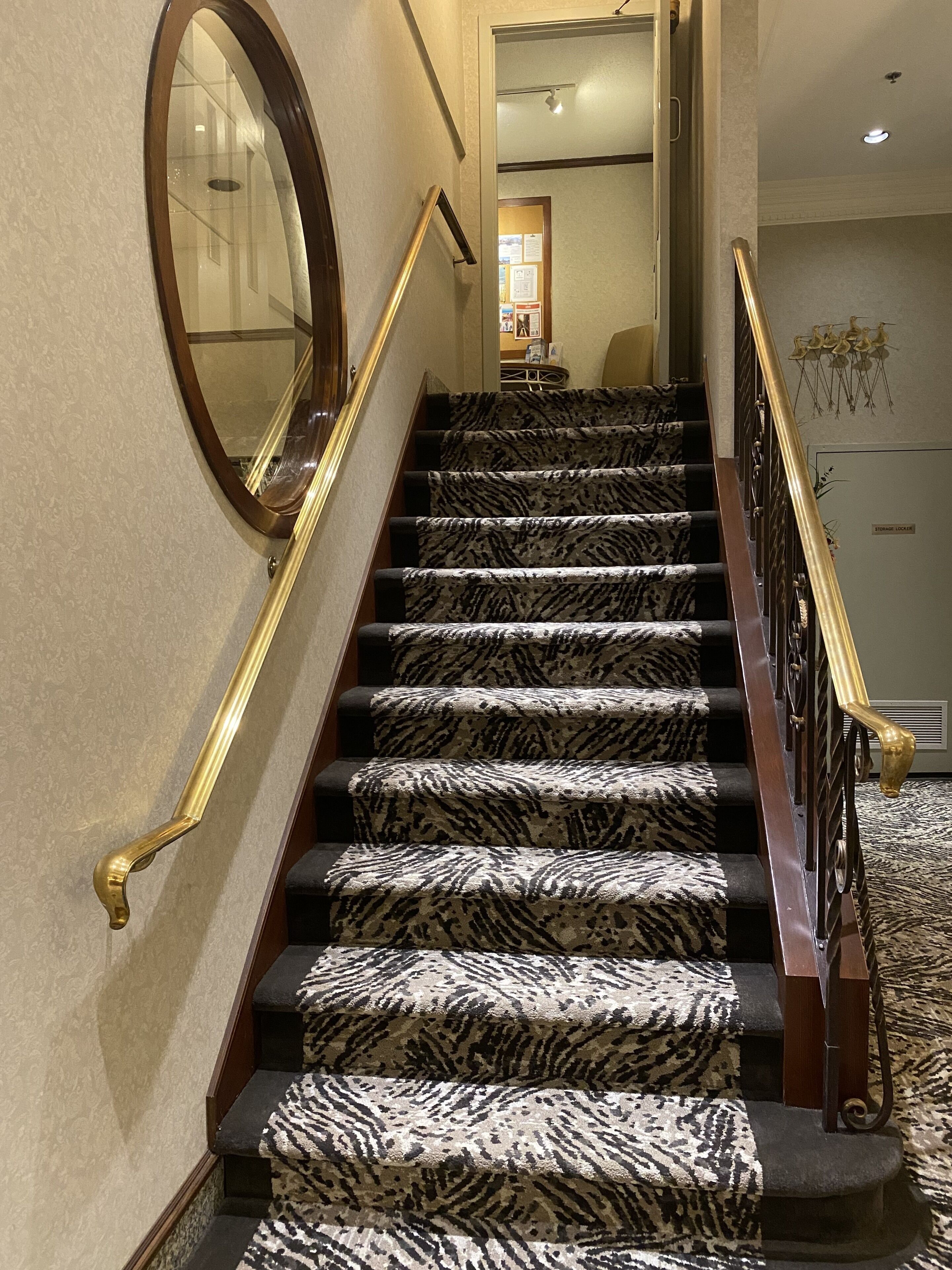 Photo - Kingston Hotel