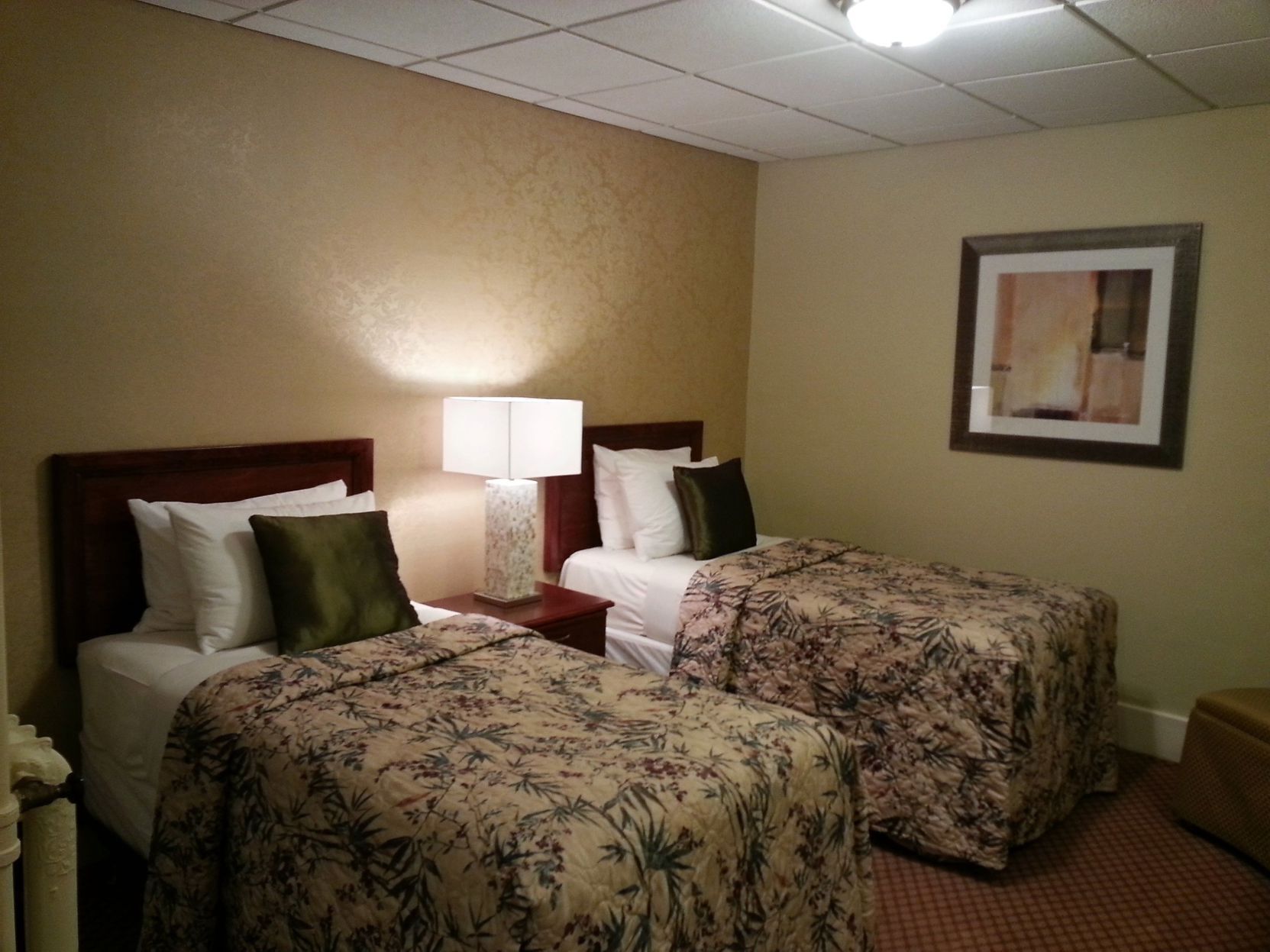 Desk, free WiFi, bed sheets