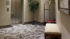 Un hall d’entrée avec un lustre, un ascenseur, une plante en pot, un banc et un miroir.