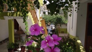 Jardim