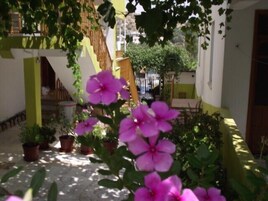 Jardim